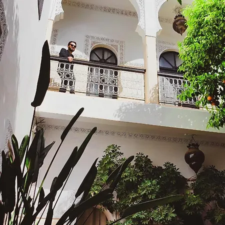 Riad Amegrad-2