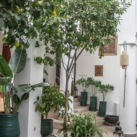 Riad Palais Calipau-3