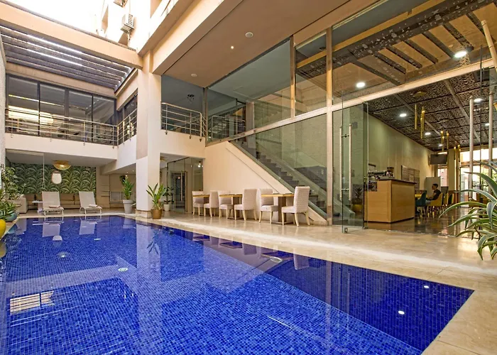 Hôtel accueillant les animaux: Yaad City Hotel