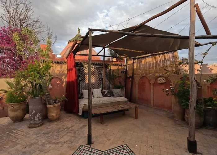 Dog friendly hotels Maizie